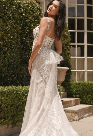 wedding-dresses-AZ21