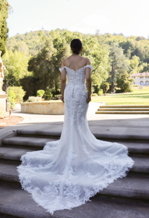 wedding-dresses-AZ59