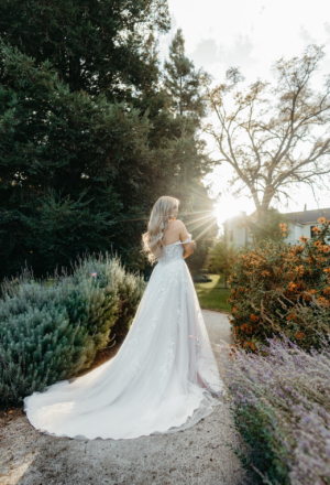 wedding-dresses-AX13