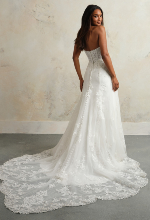 wedding-dresses-AX61