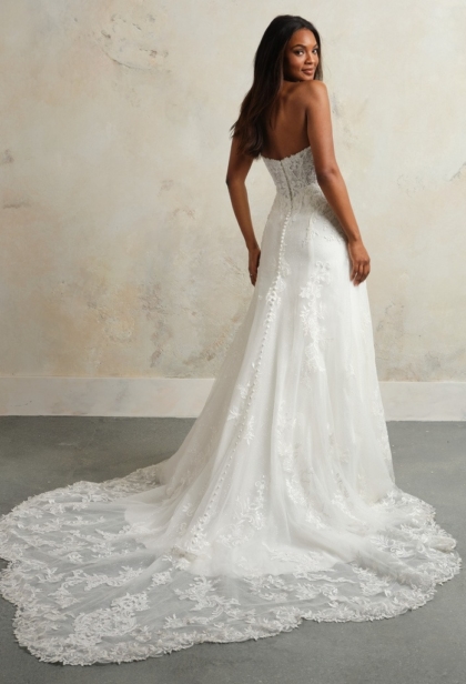 wedding-dresses-AX61